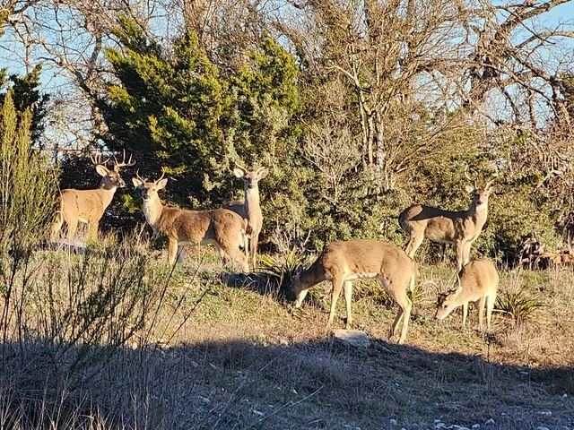 $1,750,000 | 2320 Fiedler Road, Harper, TX 78631