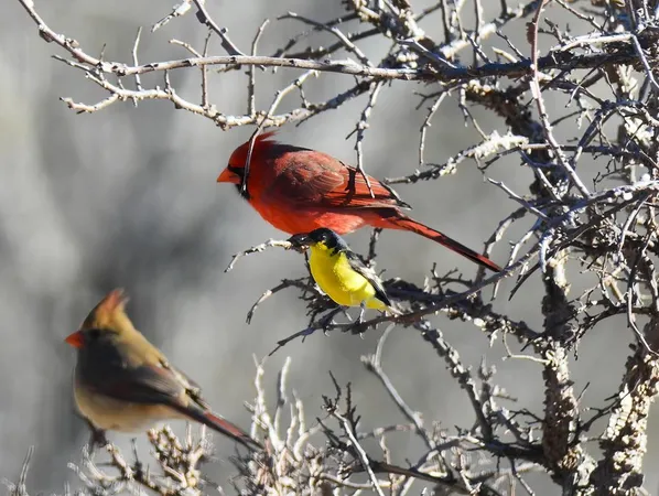 $1,750,000 | 2320 Fiedler Road, Harper, TX 78631