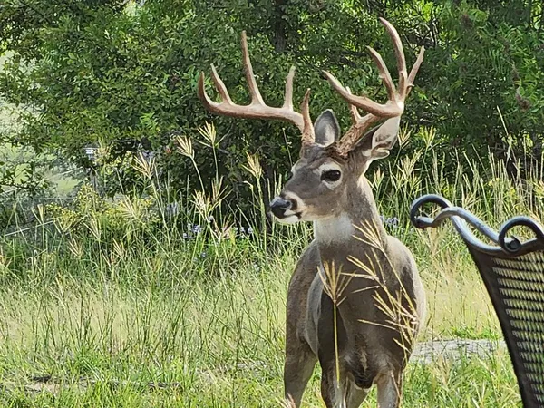 $1,750,000 | 2320 Fiedler Road, Harper, TX 78631