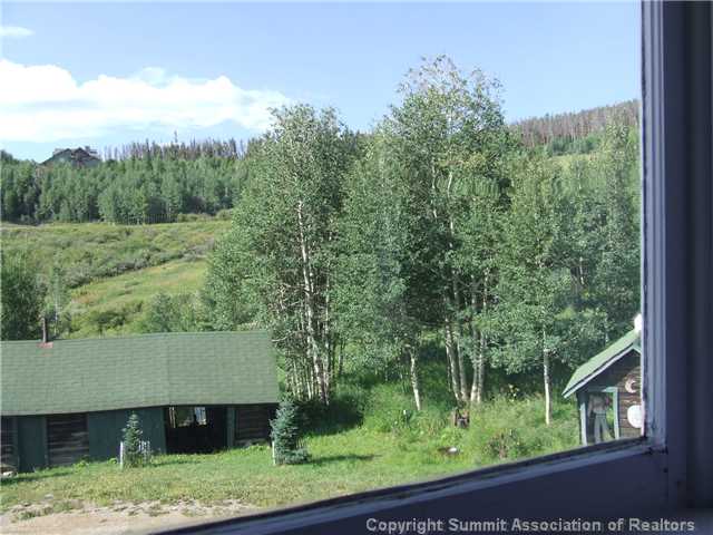 1555 South Ruby Road Silverthorne, CO 80498 - Photo 16 of 25 Other.