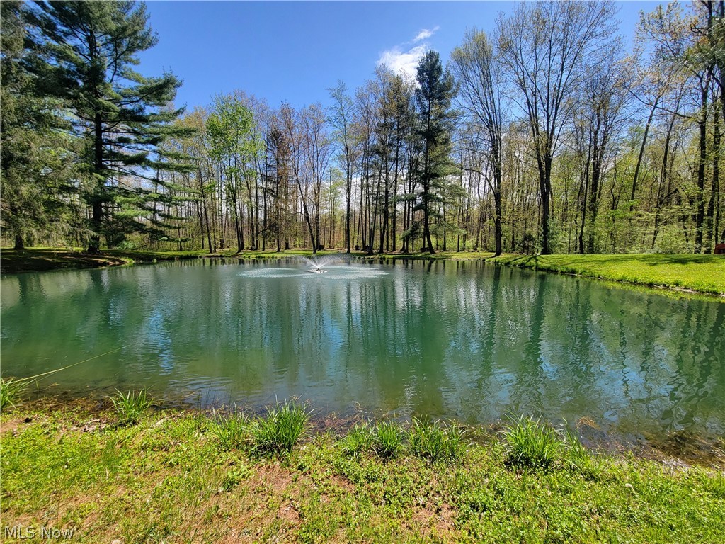 5730 Mechanicsville Road Rome, OH 44085 - Photo 10 of 43