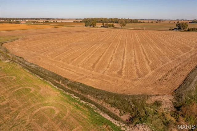 $609,000 | 0 Highway 164, Steele, MO 63877