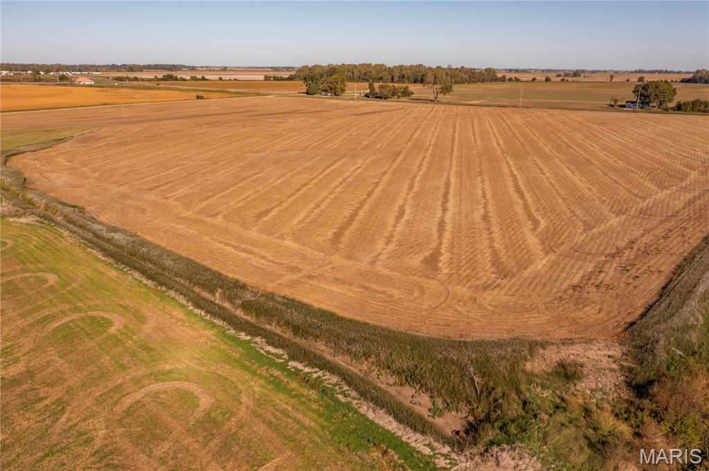 0 Highway 164 Steele, MO 63877 - Photo 4 of 18