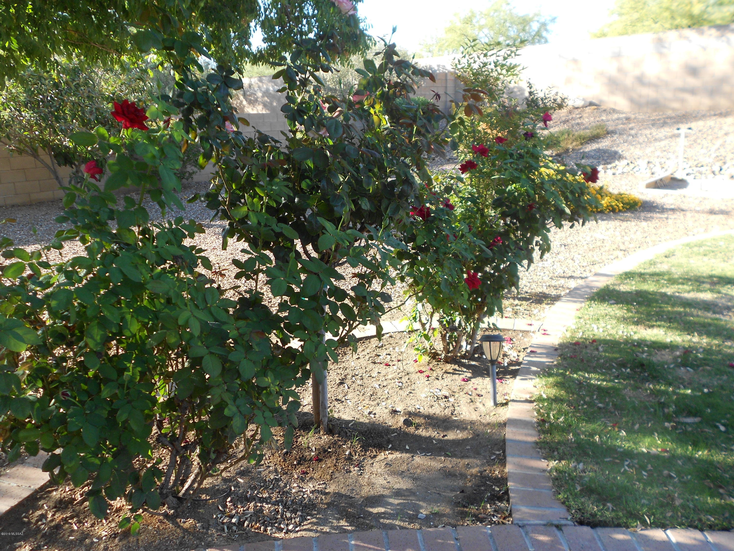 3975 East Ruffian Road Tucson, AZ 85739 - Photo 35 of 44
