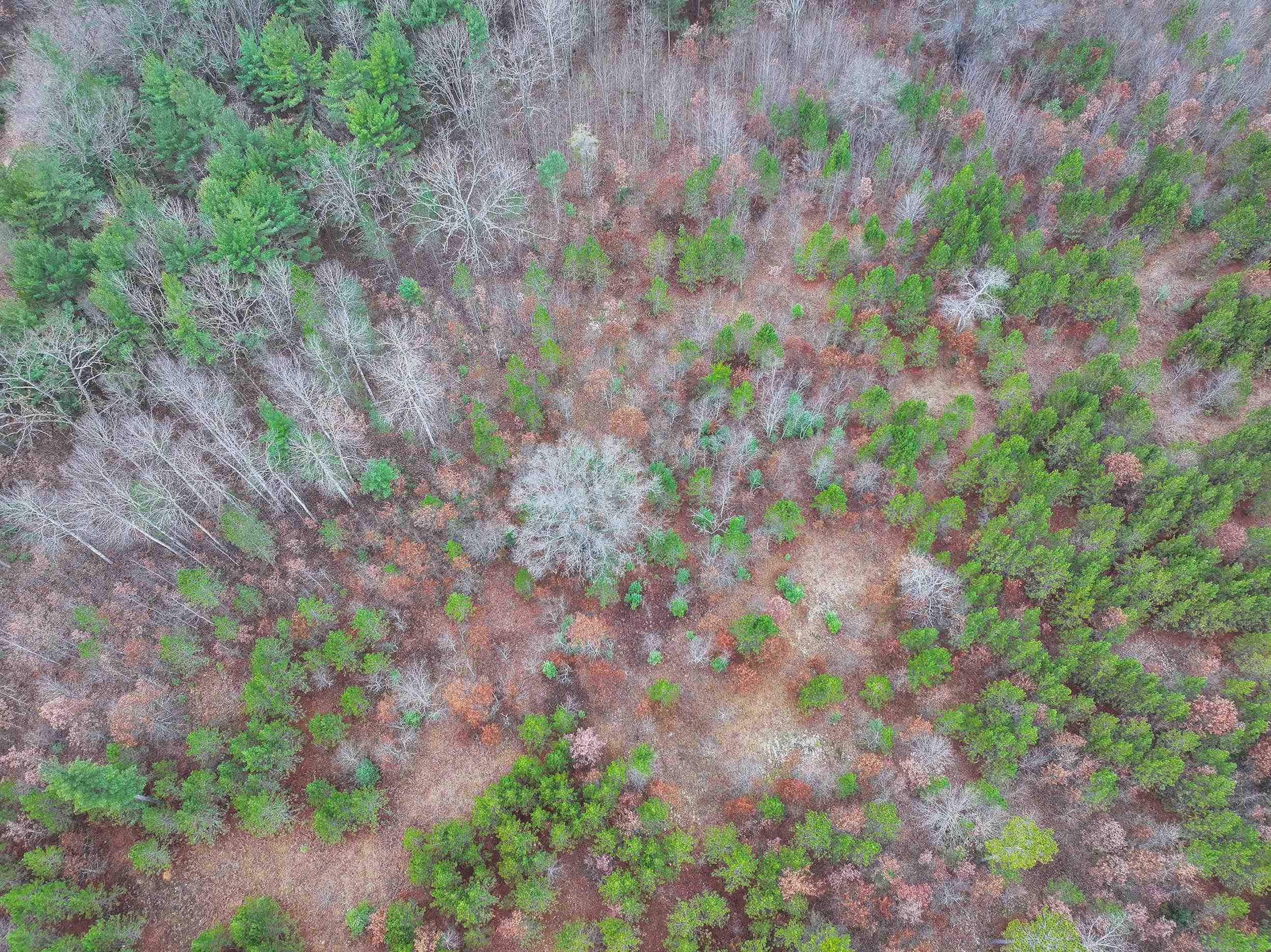 Parcel D Northeast Parcel D Ne Hodge Road Kingsley, MI 49649 - Photo 9 of 12