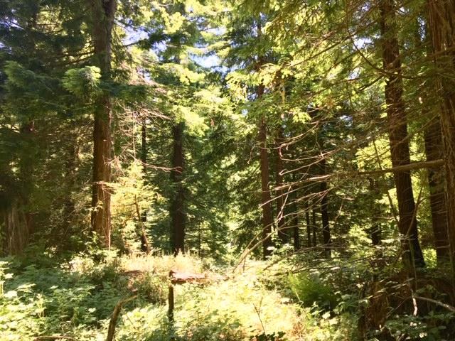 0 16th Street Arcata, CA 95521 - Photo 3 of 19