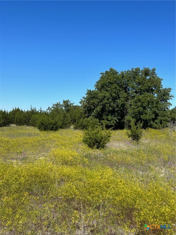 a view of a field with an ocean