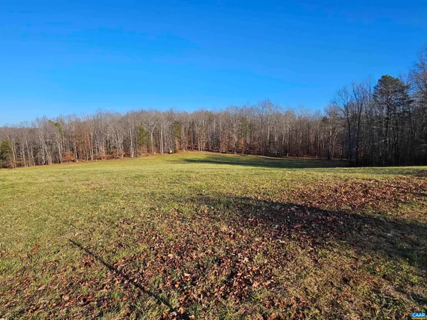 a view of yard with trees