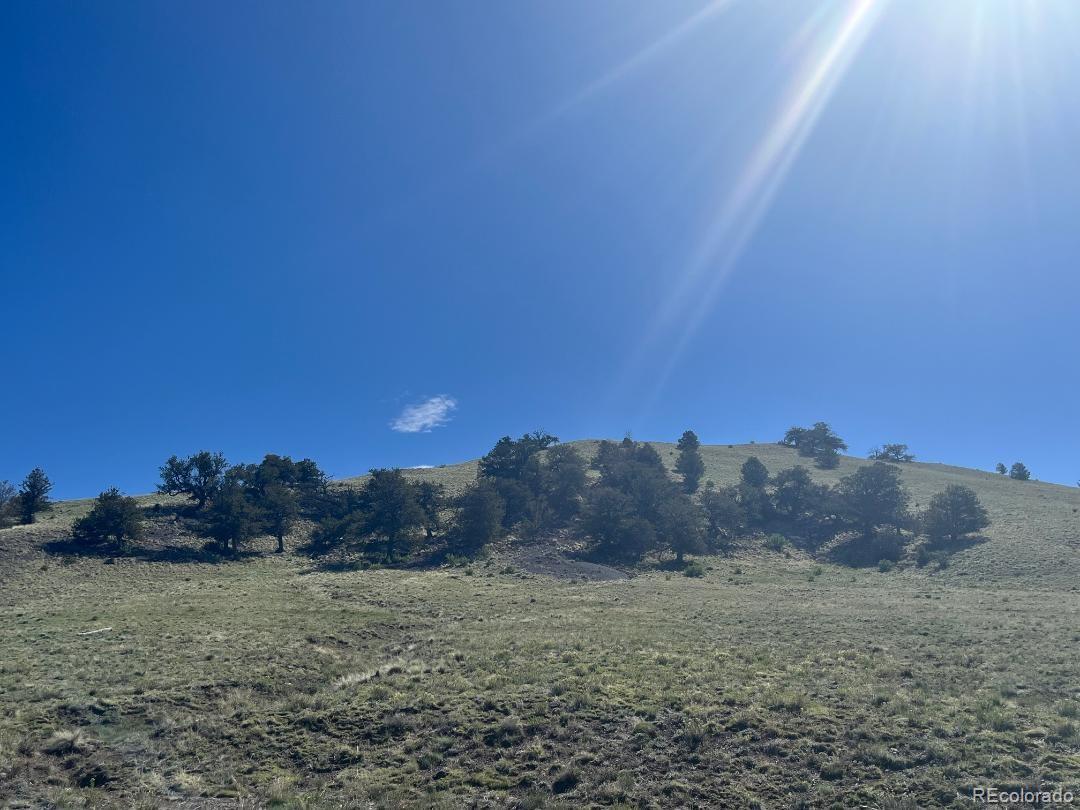 110 Watonga Road Hartsel, CO 80449 - Photo 7 of 31