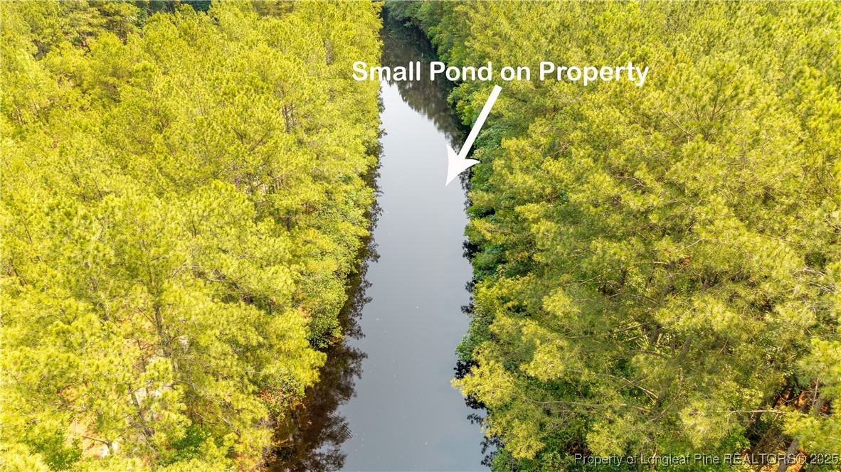 Big Piney Grove Road Clinton, NC 28328 - Photo 4 of 7