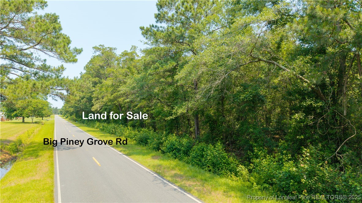 Big Piney Grove Road Clinton, NC 28328 - Photo 5 of 7