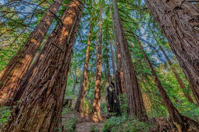 a view of a lake with mountains in the background