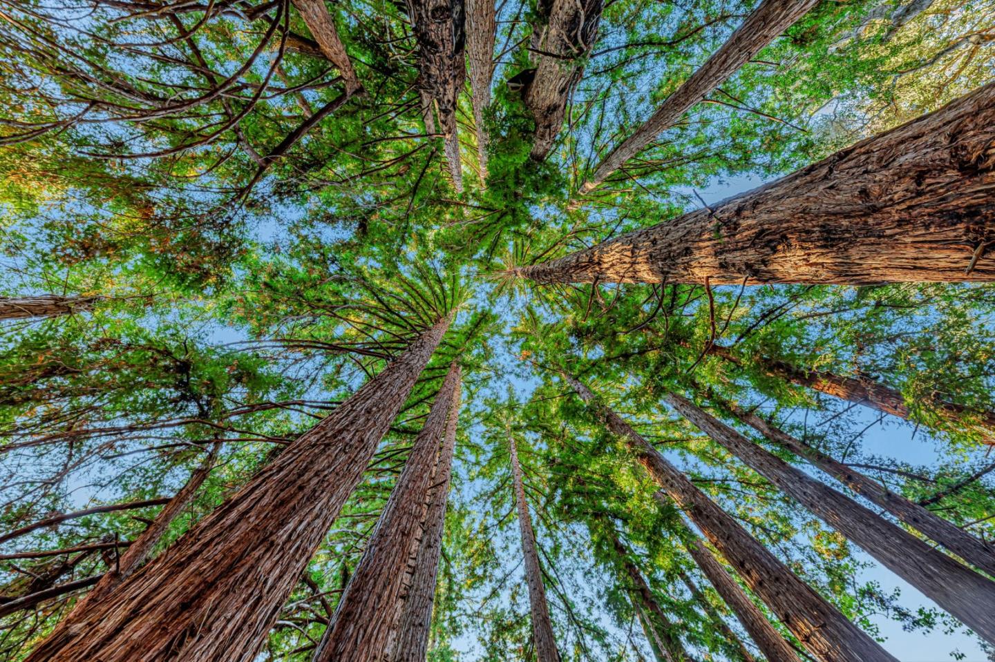 Adamo Adamo Ranch Carmel, CA 93923 - Photo 14 of 92