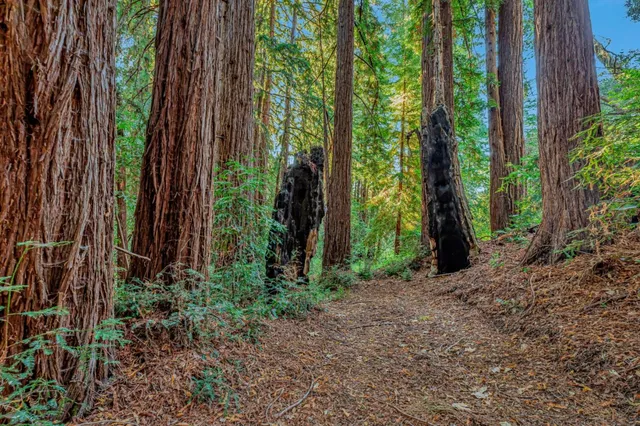 a view of an ocean beach