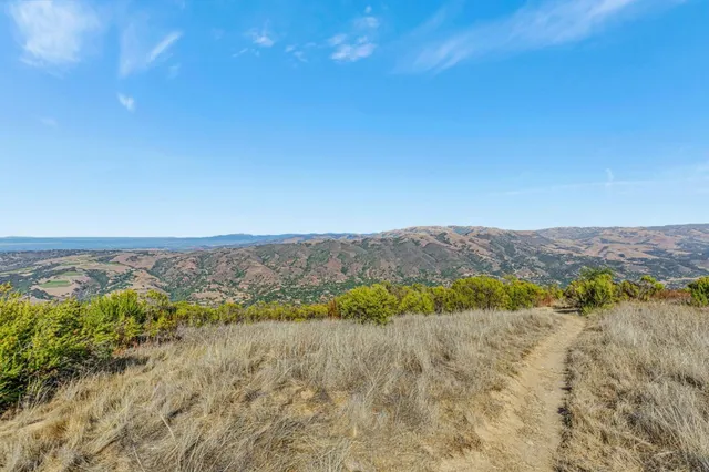 a view of a dry yard with mountains in the background