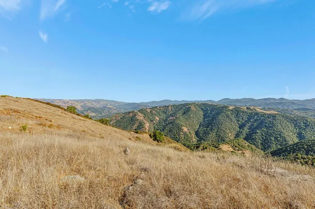 a view of a dry yard