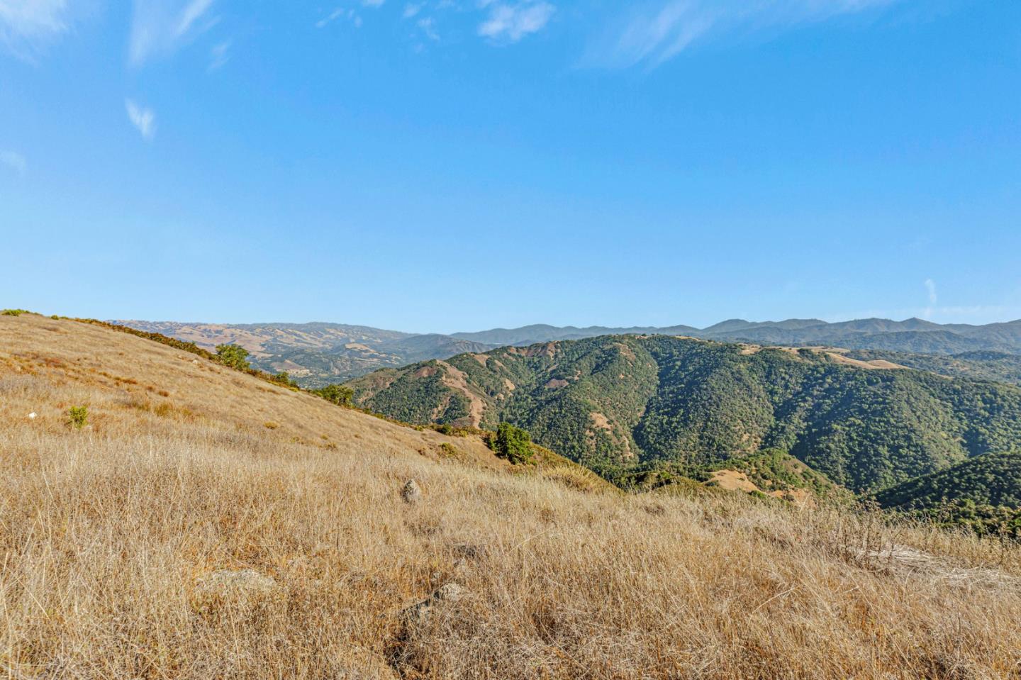 Adamo Adamo Ranch Carmel, CA 93923 - Photo 27 of 92