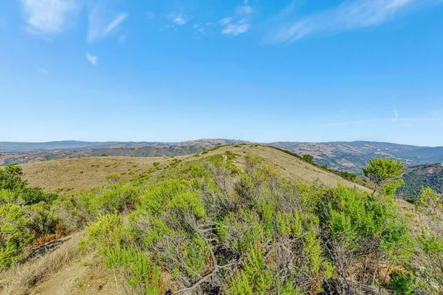 a view of a city with lush green forest