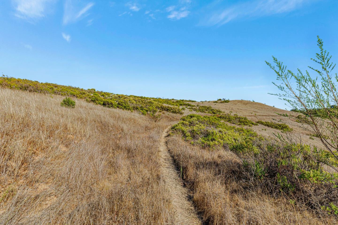 Adamo Adamo Ranch Carmel, CA 93923 - Photo 40 of 92