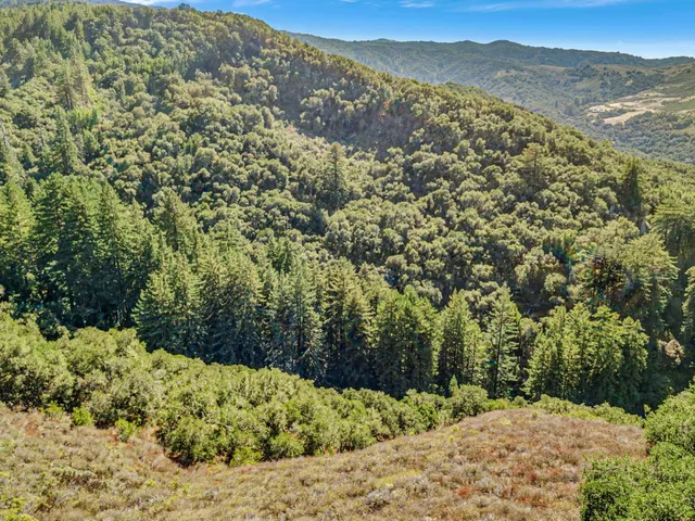 a house with trees in the background