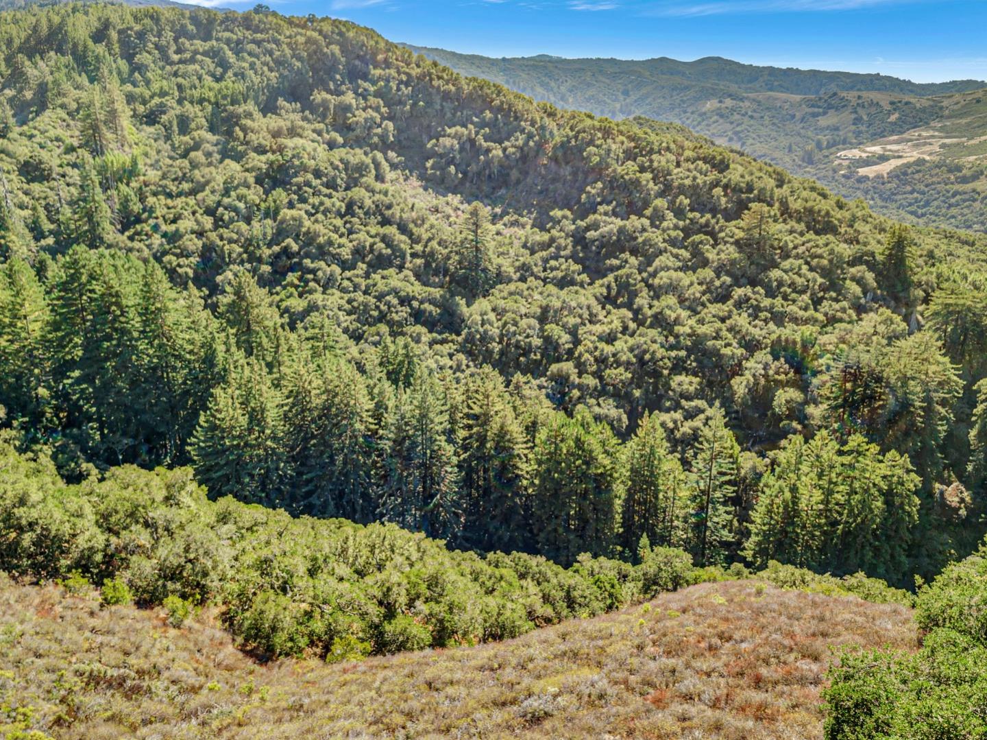 Adamo Adamo Ranch Carmel, CA 93923 - Photo 47 of 92 a view of a yard with a mountain