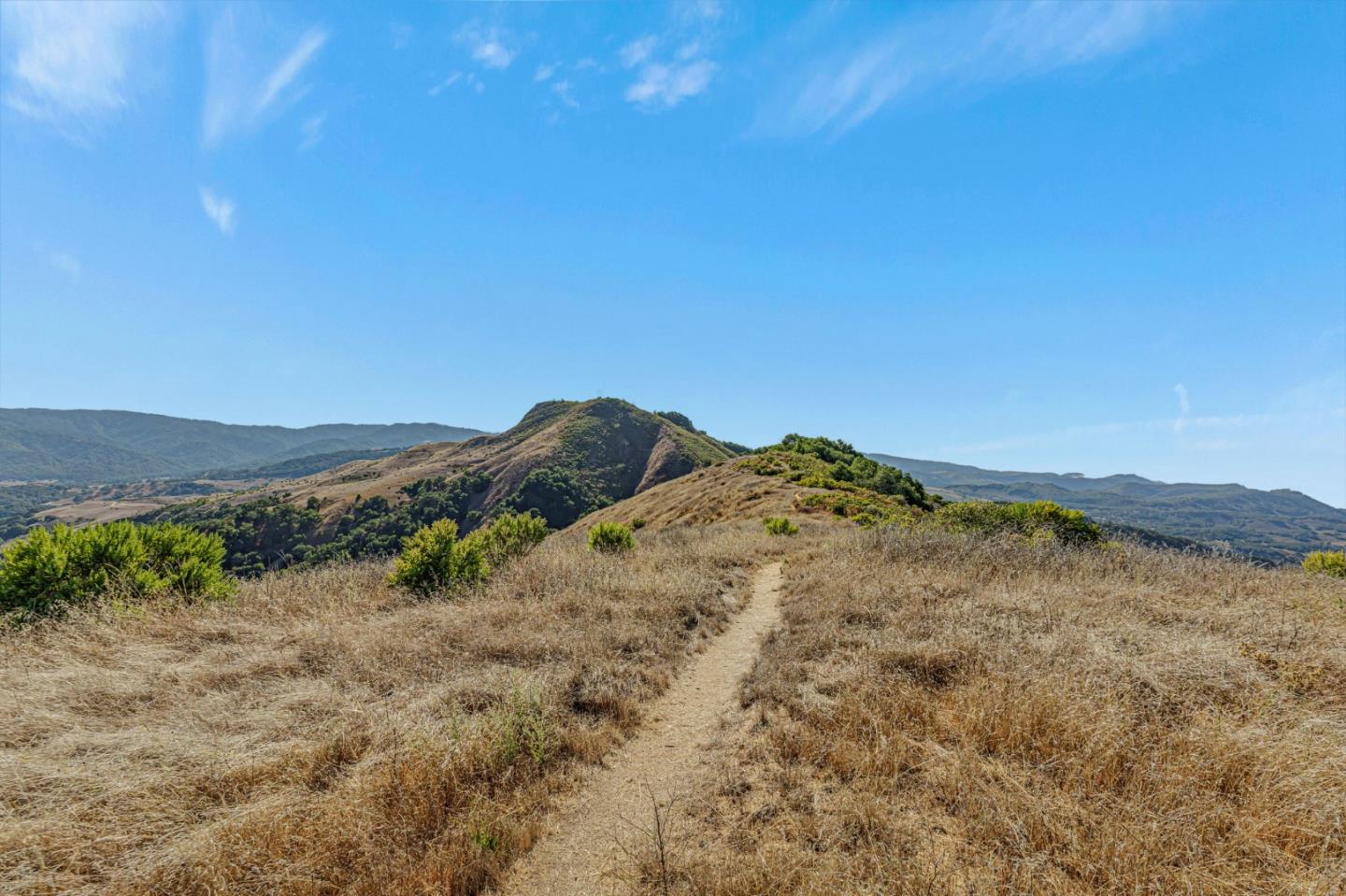 Adamo Adamo Ranch Carmel, CA 93923 - Photo 5 of 92 a view of a dry yard with mountains in the background