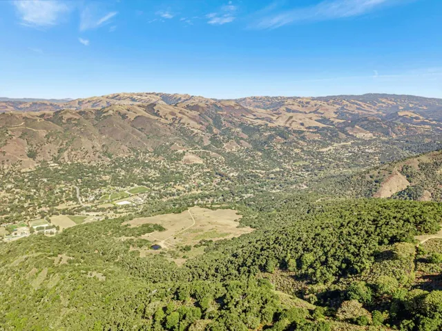 a view of a garden with large trees
