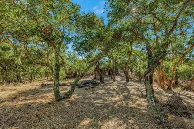 $35,000,000 | Adamo Adamo Ranch, Carmel, CA 93923