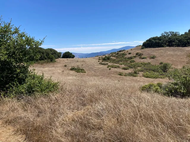 $35,000,000 | Adamo Adamo Ranch, Carmel, CA 93923