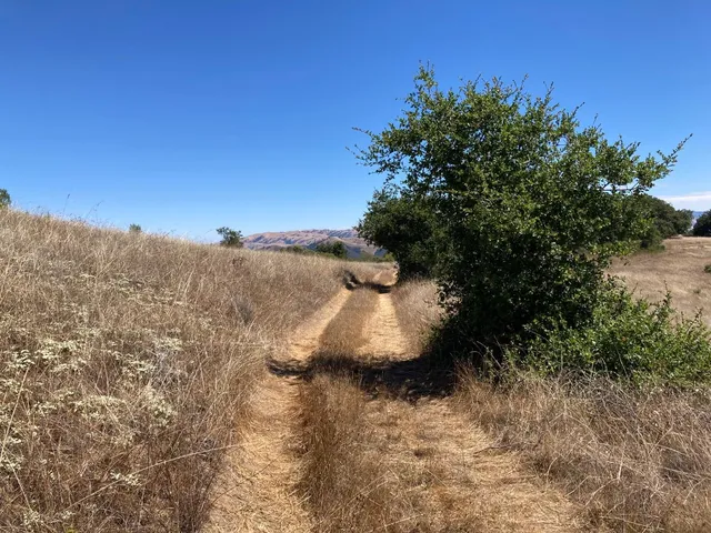 $35,000,000 | Adamo Adamo Ranch, Carmel, CA 93923