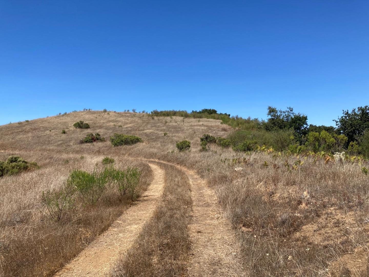 Adamo Adamo Ranch Carmel, CA 93923 - Photo 76 of 92 a view of a dry yard with trees