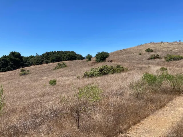 $35,000,000 | Adamo Adamo Ranch, Carmel, CA 93923