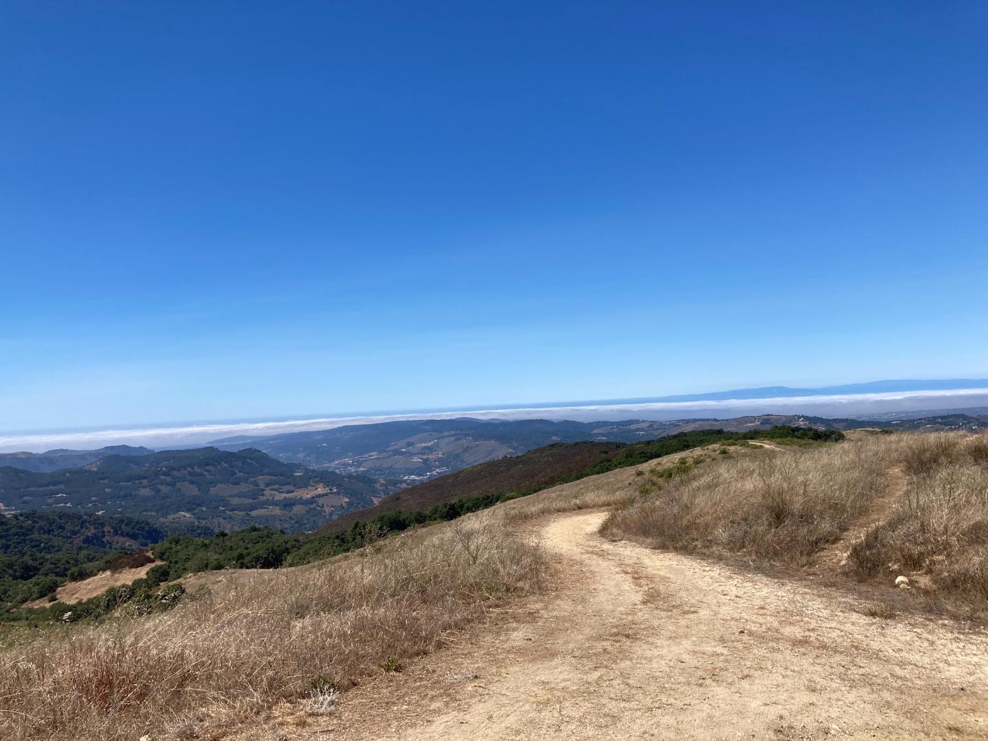 Adamo Adamo Ranch Carmel, CA 93923 - Photo 79 of 92