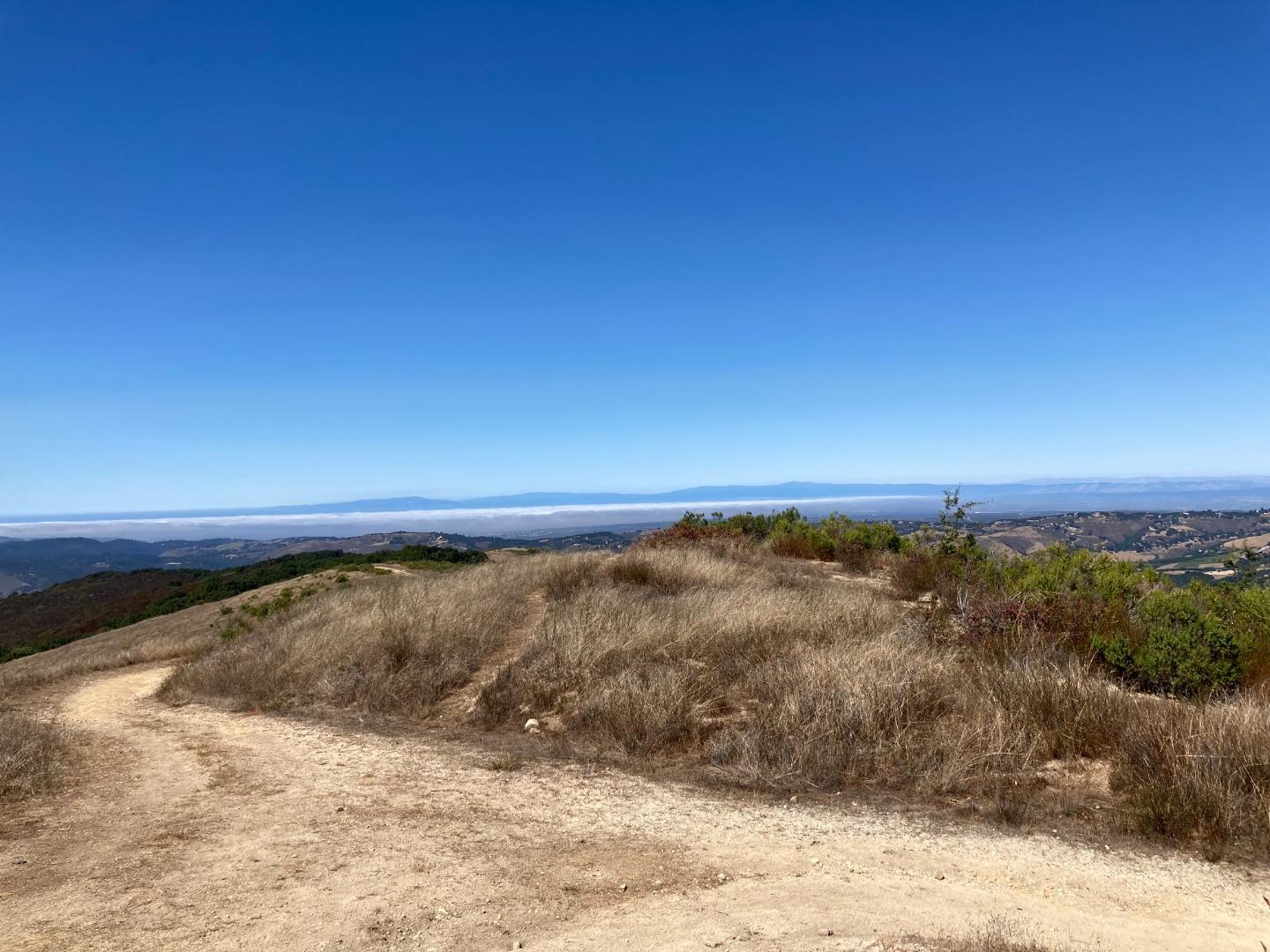 Adamo Adamo Ranch Carmel, CA 93923 - Photo 80 of 92 a view of a yard with wooden floor