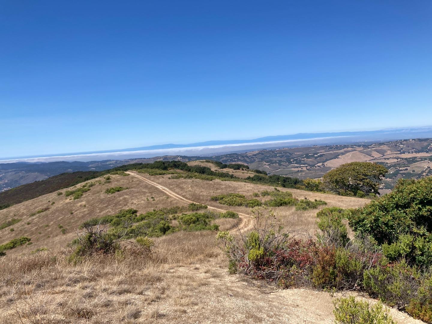 Adamo Adamo Ranch Carmel, CA 93923 - Photo 81 of 92