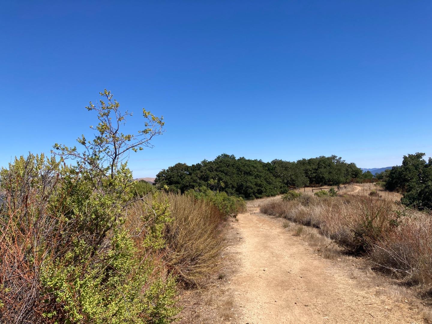 Adamo Adamo Ranch Carmel, CA 93923 - Photo 85 of 92 a view of mountain with lake view