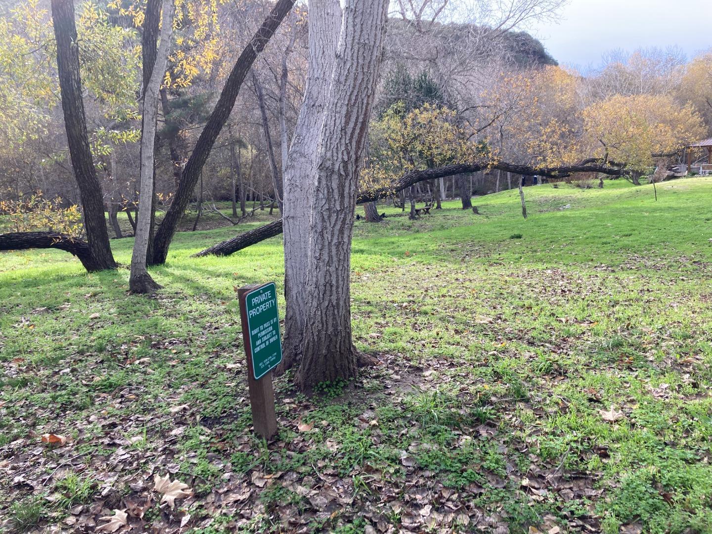 Adamo Adamo Ranch Carmel, CA 93923 - Photo 89 of 92 a view of a garden with large trees
