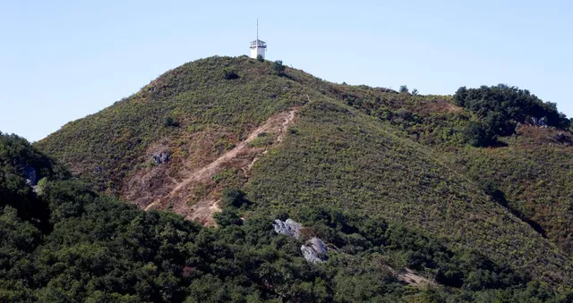 a view of outdoor space and trees