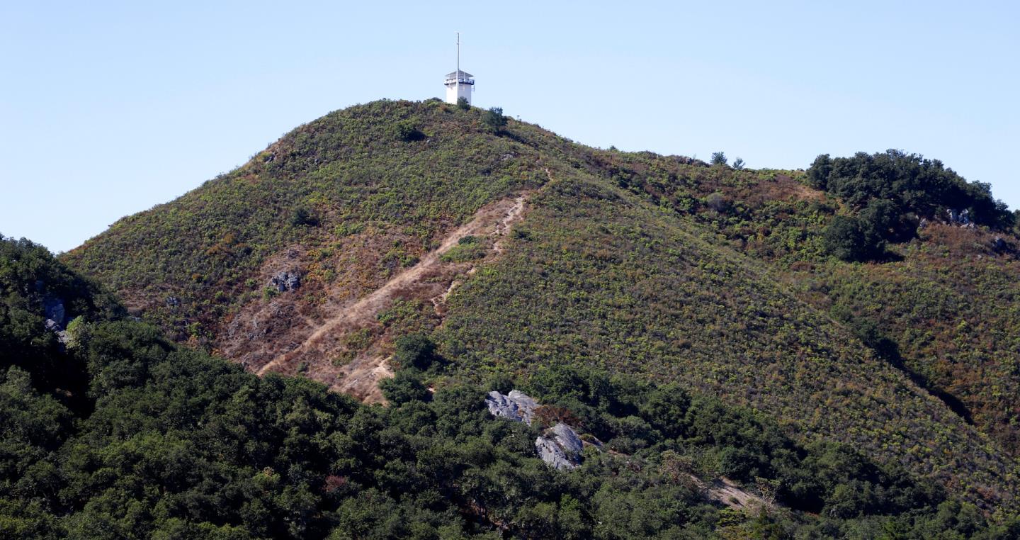 Adamo Adamo Ranch Carmel, CA 93923 - Photo 9 of 92 a view of a dry field