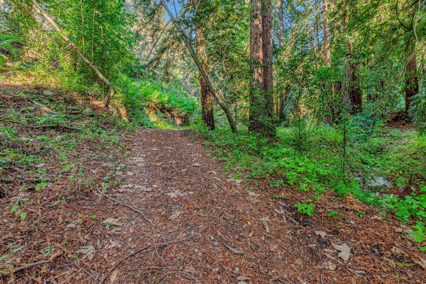 Adamo Adamo Ranch Carmel, CA 93923 - Photo 10 of 92 a view of outdoor space and trees