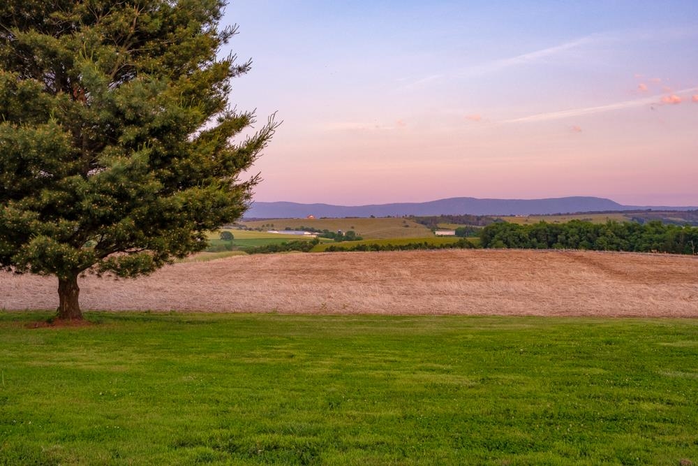 5718 Williamsburg Road Linville, VA 22834 - Photo 30 of 75 Gallery Image 30