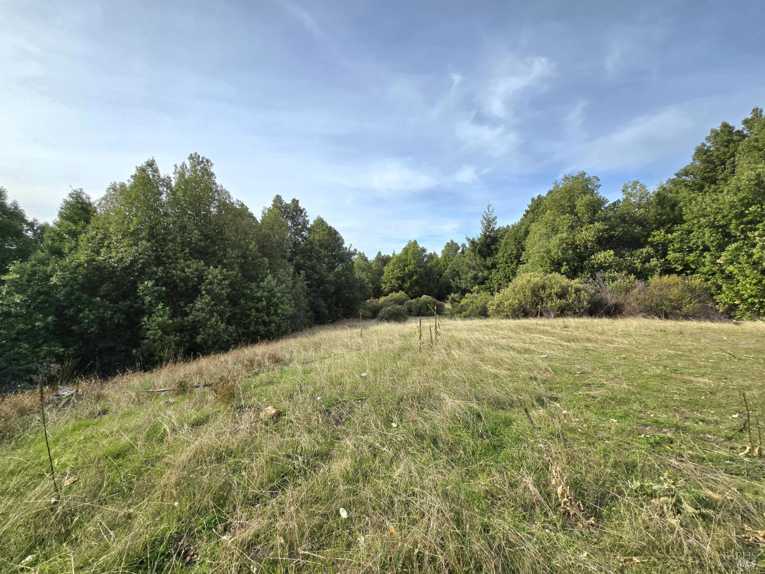 36955 Eureka Stagecoach Road Willits, CA 95490 - Photo 37 of 46 a view of a field of the house