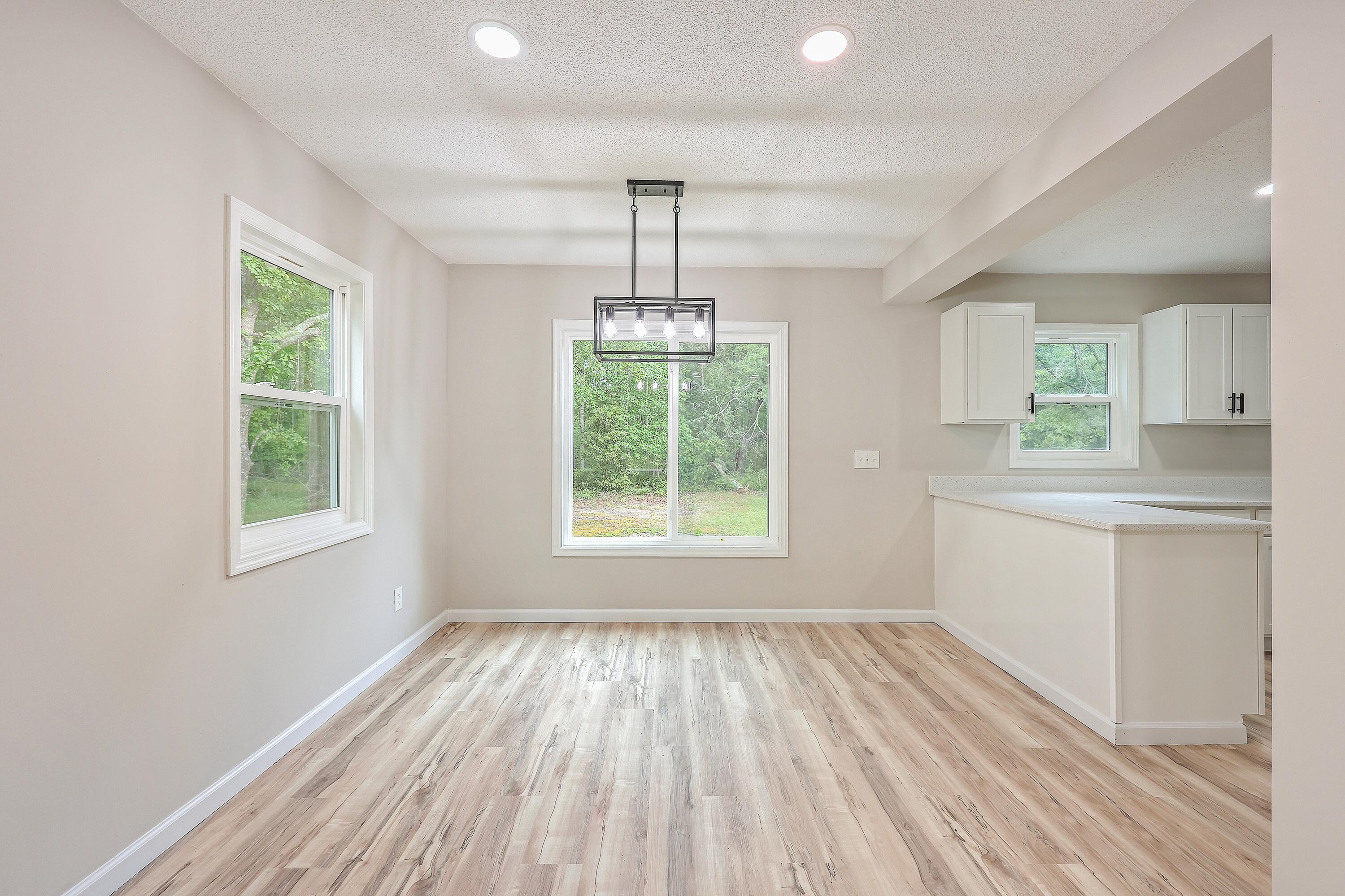 650 Sixty Six Road Branchville, SC 29432 - Photo 14 of 34 ZYN_7370_1_2_3_4_5_6