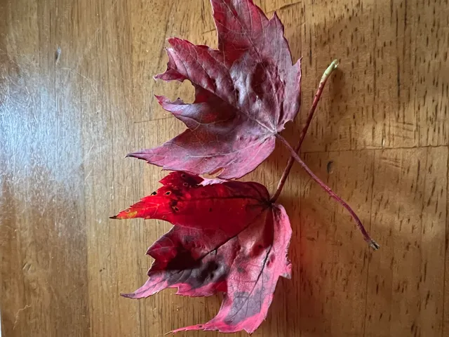 $89,000 | 19-lower Bear Lane, Rumford, ME 04276