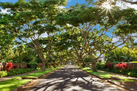 $7,650,000 | 5599 Holo Malanai Street, Koloa, HI 96756
