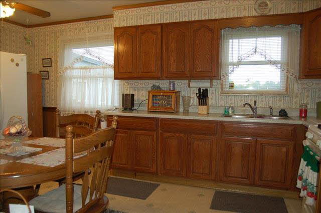 6195 Wells Road Petersburg, MI 49270 - Photo 5 of 12 KITCHEN