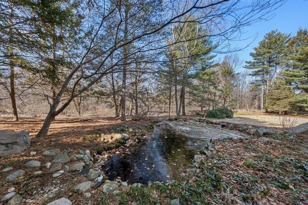 5 Field Road Lexington, MA 02421 - Photo 27 of 31 a view of a yard with plants and trees