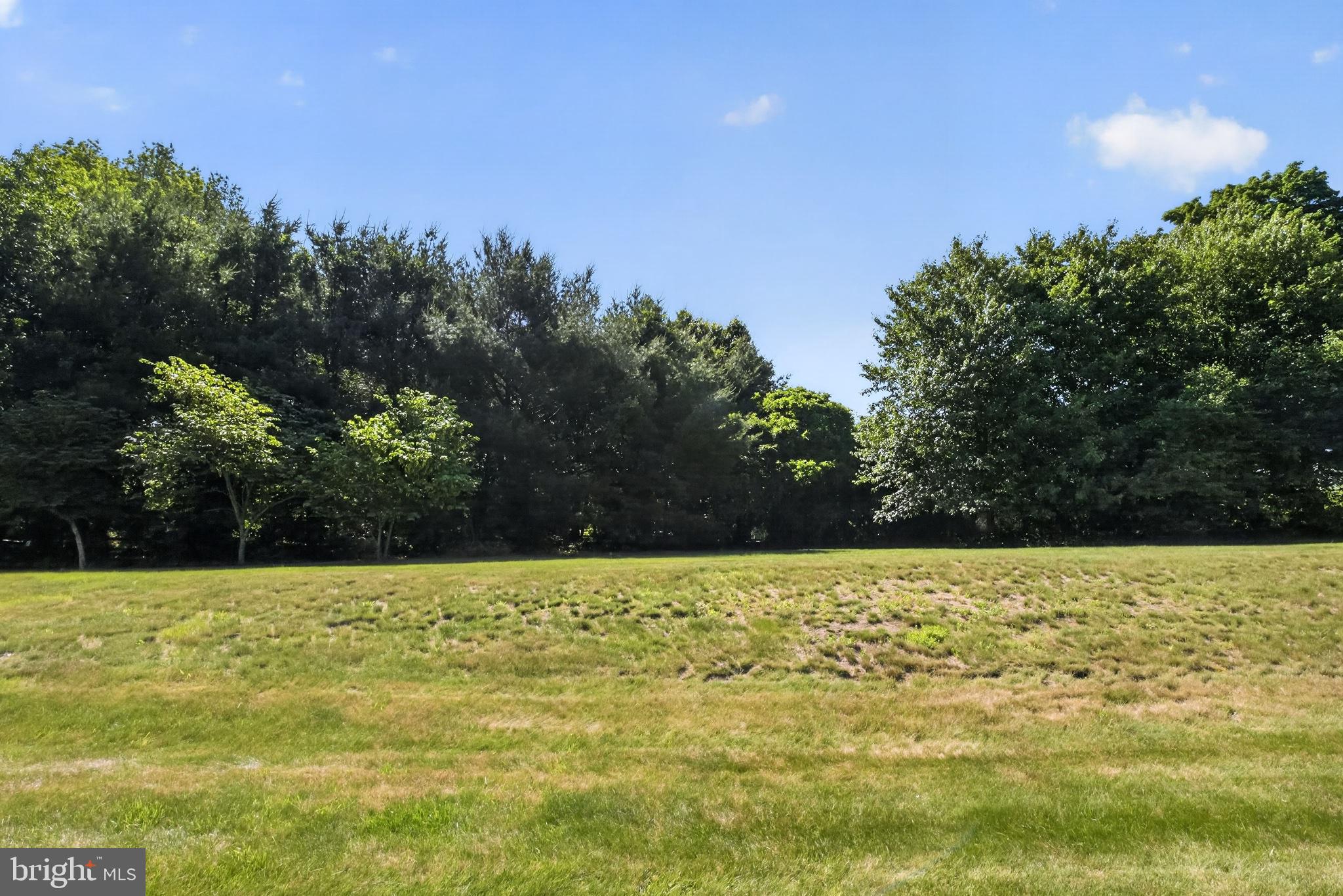 9 Simpkins Lane Pemberton, NJ 08068 - Photo 36 of 36 Lush greenery meets open skies.