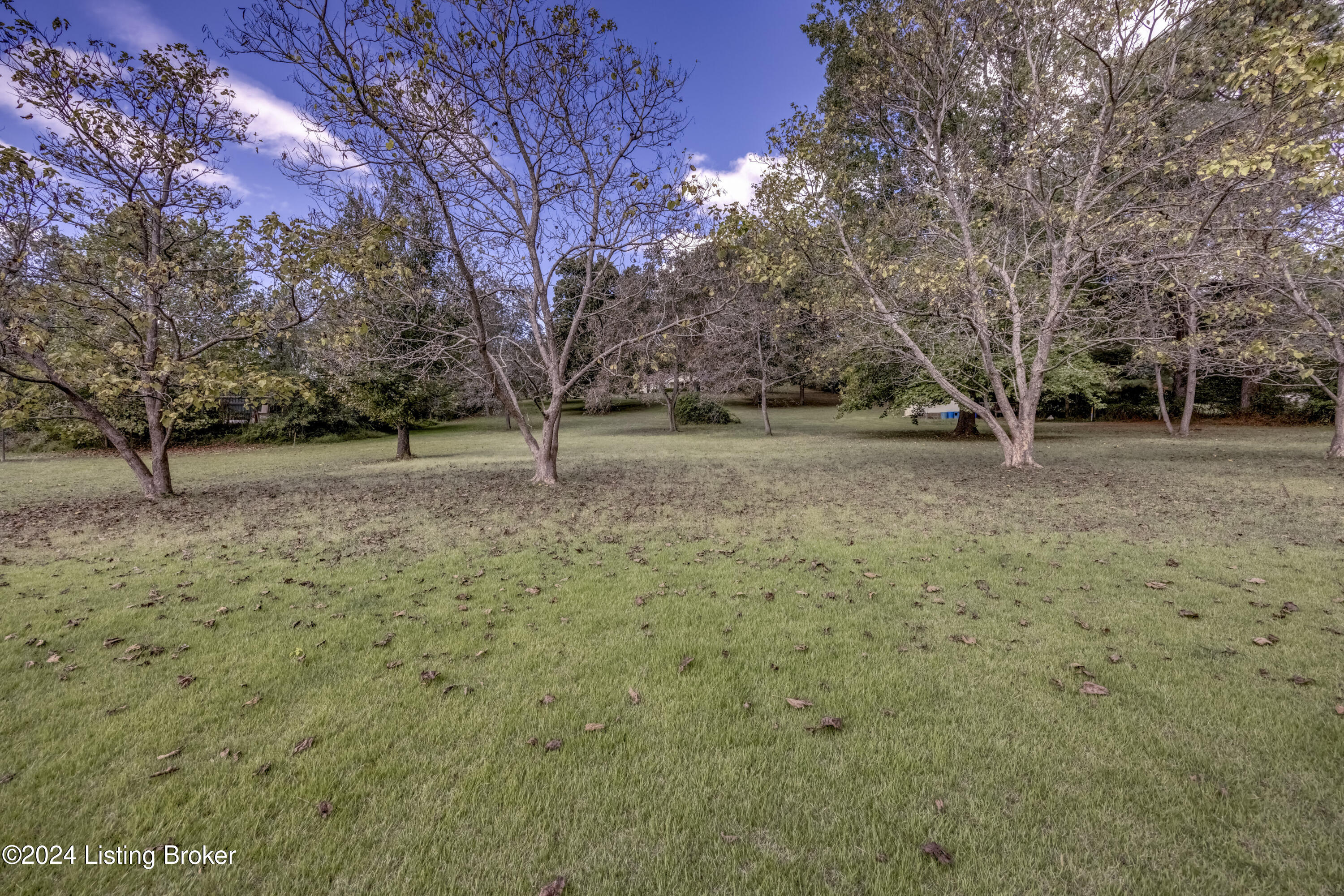 128 Marilyn Road Lebanon Junction, KY 40150 - Photo 11 of 48 2Y0A6507-A