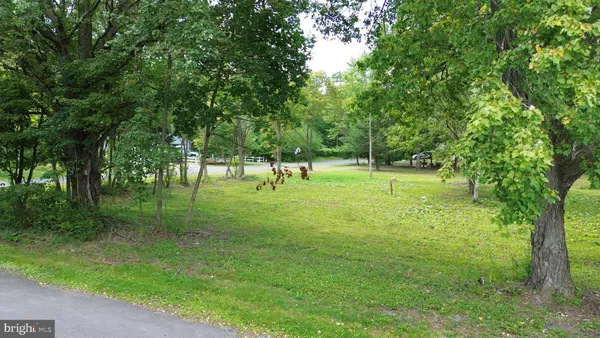 a view of park with trees